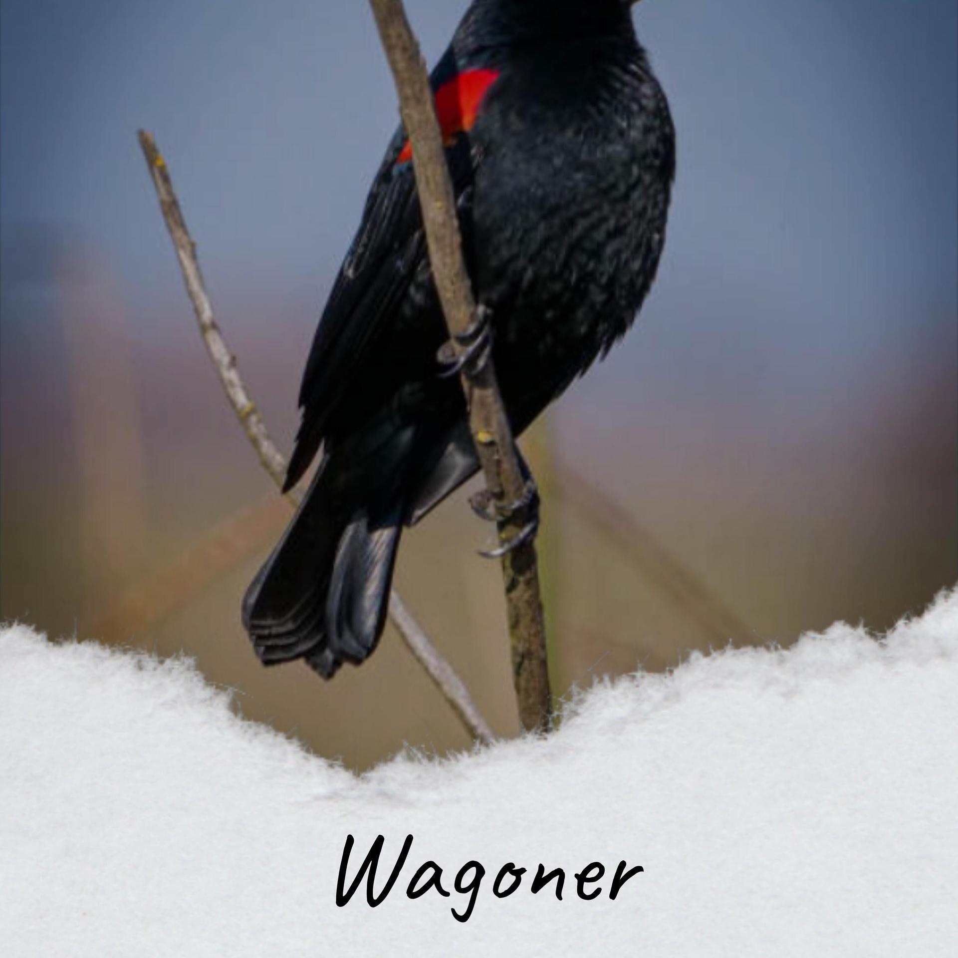 Wagoner