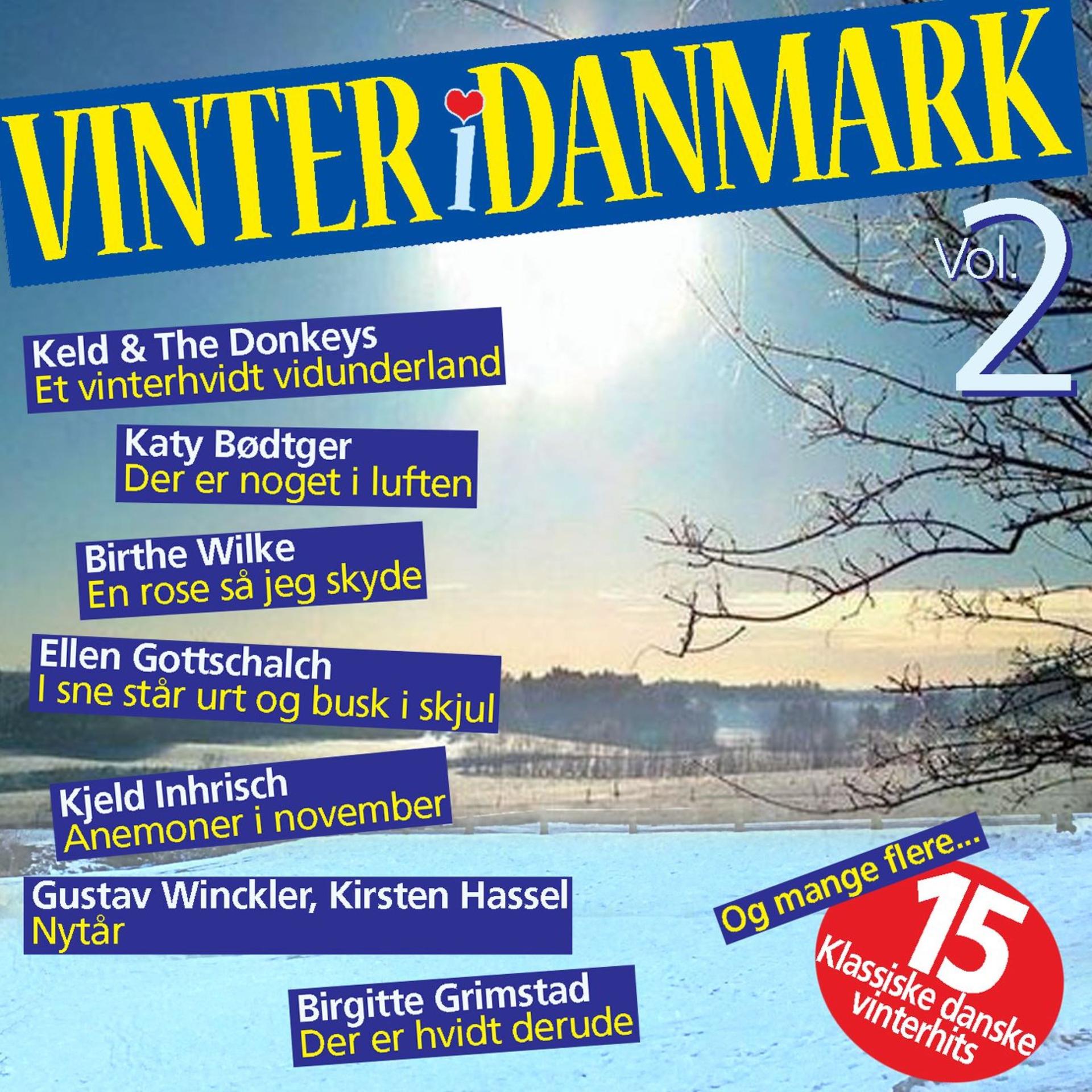 Vinter i Danmark Vol. 2