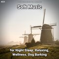 Relaxing Music by Darius Alire、Yoga、Relaxing Music - Unparalleled Relaxation Music