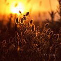 Ludy - I Am Going