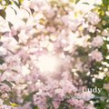 Ludy - 계절의 문