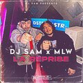 DJ Sam、Mlw - La Reprise