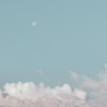 橘子 - 良辰