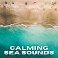 Nature Calm、Calming Beats、Relaxation - Hopeful Mindset