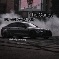 The Gangs (Remix)