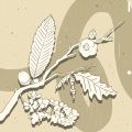 사계(Seasons)