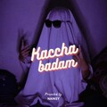 Nainsy - Kachha badam