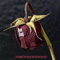 key poor diary - One Day (Explicit)