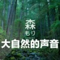 沫小恩 - 风中的信