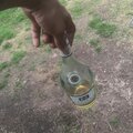 Elohim - Ya Kno (Explicit)