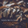 Brown Noise Baby、Brown Noise Warriors、Brown Noises - Brown Noise Violin & Cello - Rolling Waves