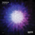 Tremonjai - You Like (Original Mix)
