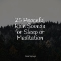 Sleepy Times、Meditation Zen、Ruído branco - Rain, Glass, Window Pane