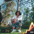 TOO GOOD TO BE TRUE (Explicit)