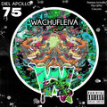 Diel Apollo - Wachufleiva 75-1 (Original Mix)