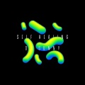 DJ Sunny - Self Healing