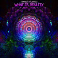 What Is Reality