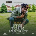 For your pocket cover (feat. Peruzzi)(Summer Version)