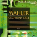Florida Philarmonic Orchestra、James Judd - Symphony No. 1 in D Major 