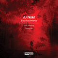 DJ Tribe - Bauchschmertz (Original Mix)