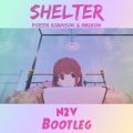 Shelter (N2V Bootleg)