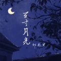 邹秋实 - 三寸月光