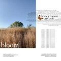 Honeymoon Arcade - bloom