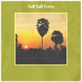 Tall Tall Trees