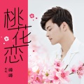 峰峰 - 桃花恋男生版(DJ鹏子)