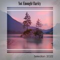 NOT ENOUGH CLARITY SELECTION 2022 (Explicit)