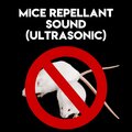 ASMR Earth - Mice Repellant Sound(Ultrasonic), Pt. 35