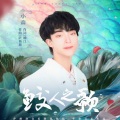 刘小森 - 鲛人之歌