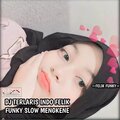 felik funky - DJ TERLARIS INDO FELIK FUNKY SLOW MENGKENE