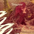 Tommy Jarrell - Old Bunch Of Keys