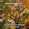 Relaxing Music by Dominik Agnello、instrumental、New Age - Tranquil Sound