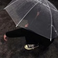 .苏懿. - 什么是兄弟