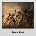 Gene Goforth - Black River
