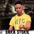 Saka Stokie (feat. Bow Mr fantastic & Dj Stokie)