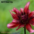 Mixed-Up Captives - Good Name