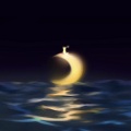 月光不答