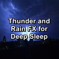 Rain Sound Studio、Rain for Sleeping、Rain Sounds HD - Cozy Rain with Nature Music To Help You Take A Nap