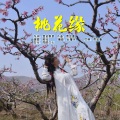 殷钰 - 桃花缘 (地方口音)