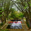 Meditation in a Secret Garden