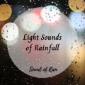 Sound of Rain: Light Sounds of Rainfall Vol. 2
