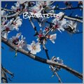 Bagatelle