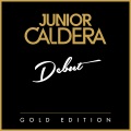 junior caldera、Audrey Lavergne - Sleeping Satellite