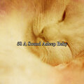 Serenity Spa Music Relaxation - Unchained Dream