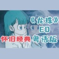 紫霖 - 龙珠片尾曲