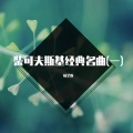 陆艺霖 - 天鹅湖·四小天鹅舞曲- (10-2)