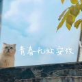 格子小师弟 - 我也可以是流浪诗人